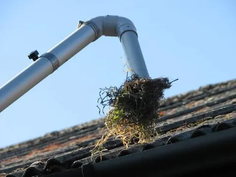 A gutter vacuum pole lifting a clump of moss out of a gutter.