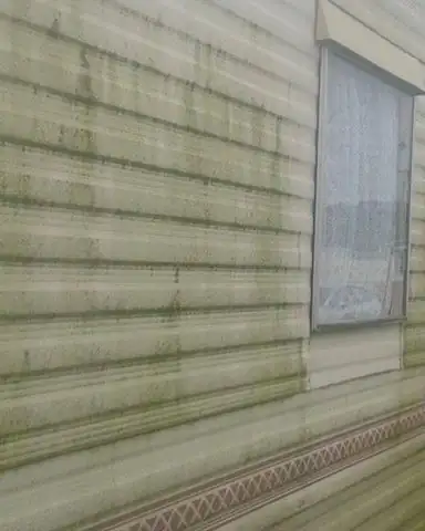 Before: green algae streaks down a static caravan's side panels.